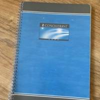 Cahier A4 petits carreaux spirales