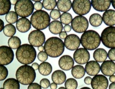 Purolite NRW160 résine cationique